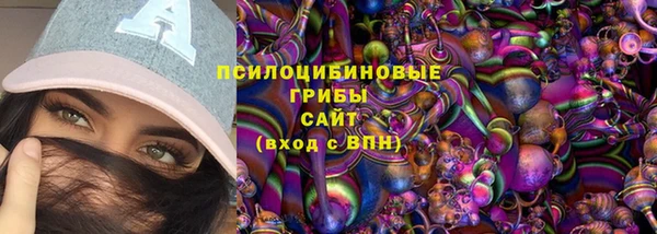 эйфоретик Алзамай